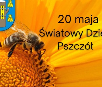 Światowy Dzień Pszczół