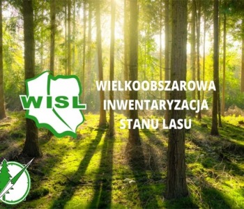 Wielkoobszarowa Inwentaryzacja Stanu Lasu w kraju w latach 2025-2029