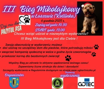 III Bieg Mikołajkowy